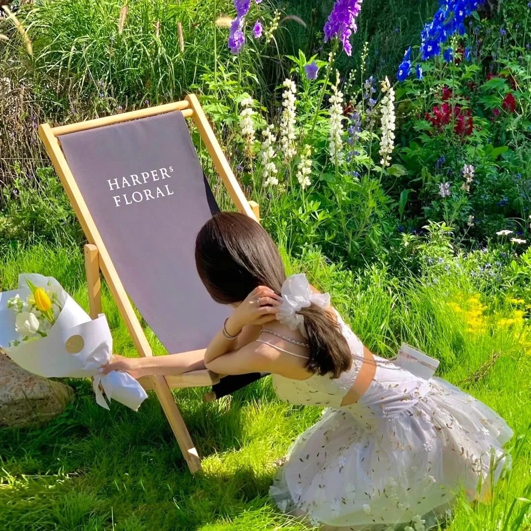 把顶流宠成小娇夫